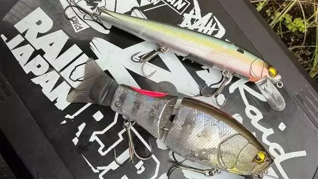 台風後の早明浦ダム攻略：濁流でのバス釣り戦略