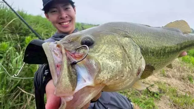 鈴木翔、霞ヶ浦水系での新バズベイト「ダブラー」実戦記：苦戦から好転へ