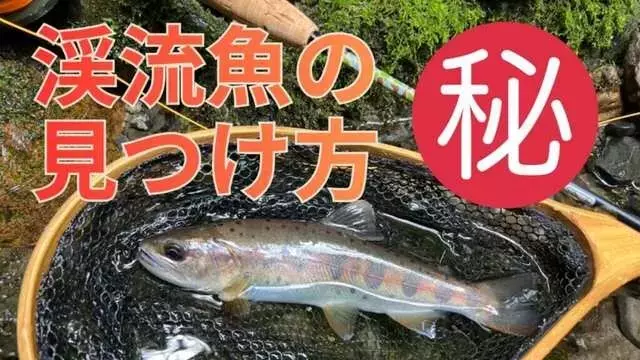 毛鉤釣り：ヤマメ・イワナの隠れた生息地を見つける究極ガイド