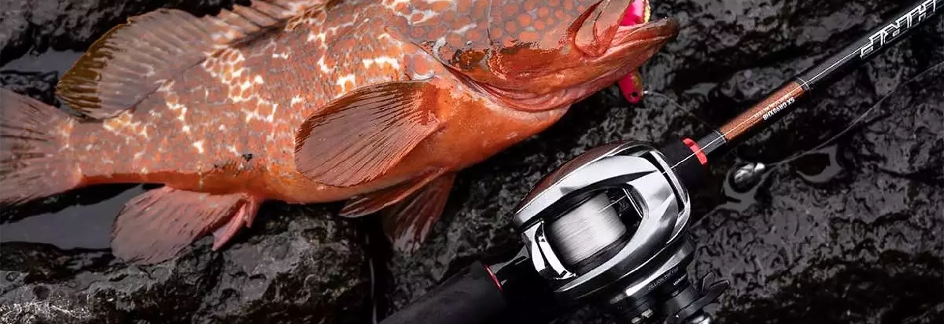 新生「ジリオン TW 150」：進化した汎用性と卓越した性能