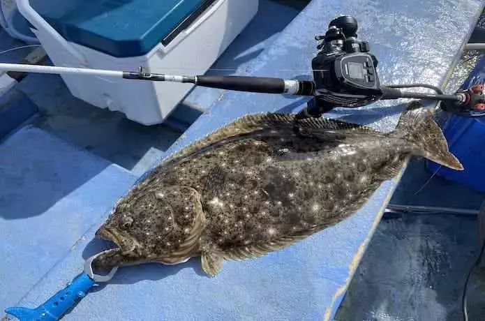 船ヒラメ釣り、最適な竿を見つける完全ガイド！