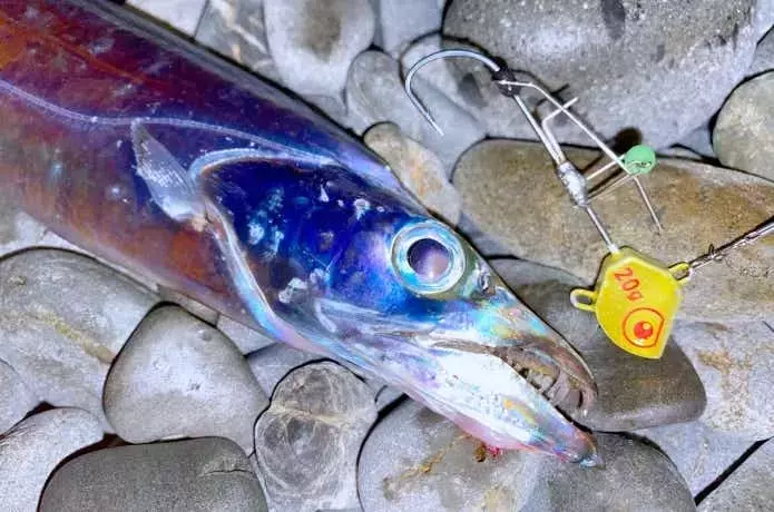 キビナゴの塩漬けと着色テクニックで釣果アップ！
