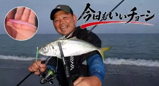 浜名湖と遠州灘におけるアジングの隆盛：尺アジを狙う夏の戦略