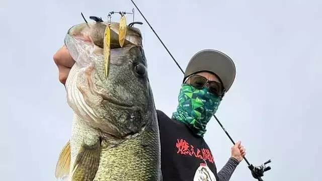 琵琶湖南湖、夏の釣果報告！大西健太プロがスピナベとトップウォーターで大型バスを攻略
