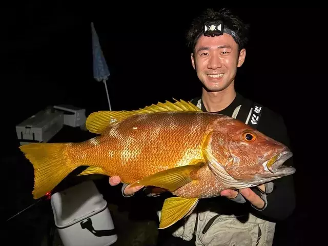 南伊豆の夜釣り：幻の高級魚シブダイを求めて