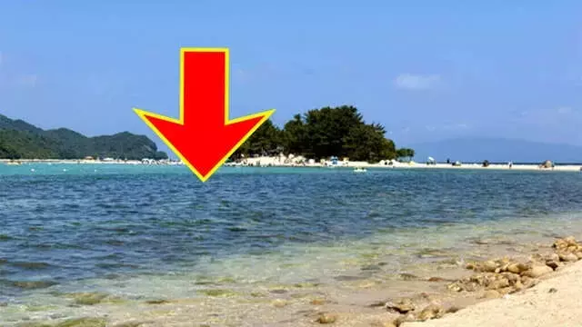 海水を飲む危険性：遭難時の脱水と高ナトリウム血症のリスク