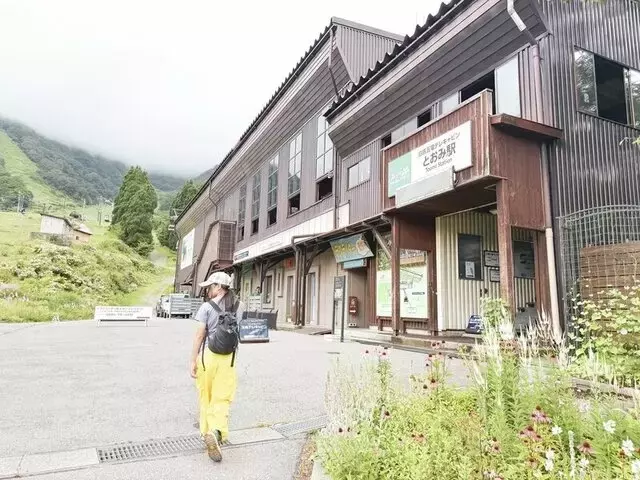 白馬五竜で家族と楽しむ山登り：ゴンドラと高山植物が織りなす冒険