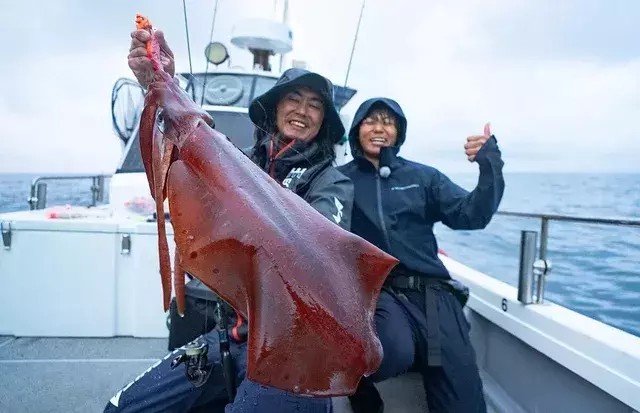 トカラ列島悪石島での大型アオリイカ挑戦