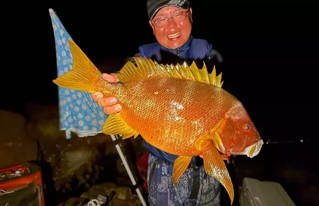 式根島でのシブダイ釣り大成功：伊豆諸島はまさにシブダイの楽園！