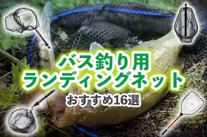 バス釣り向けランディングネット：選び方とおすすめモデル