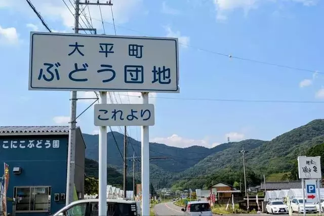 収穫体験も！栃木「大平ぶどう団地」で旬のブドウを満喫