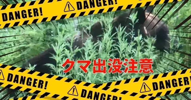 釣りのプロが教える熊との遭遇対策：自然との共存のために