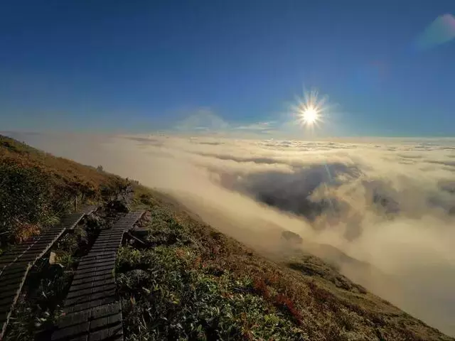 北アルプス秋の絶景：八方池と唐松岳、紅葉と雲海の調和