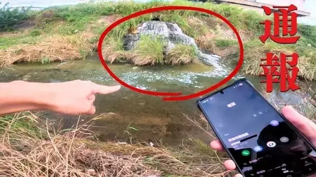 水辺の生態系を脅かす謎の排水：YouTubeチャンネルが環境問題に挑む