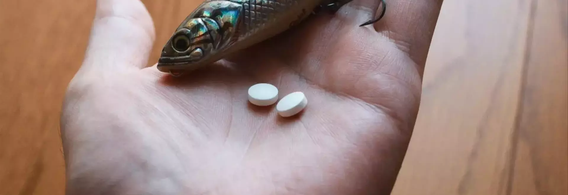 釣りにおける魚への配慮：アングラーの倫理観と実用的なアプローチ
