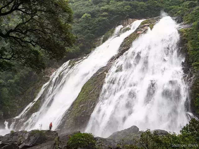 屋久島の秘境、小楊子川を辿る沢登りの魅力