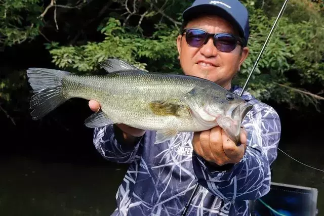 釣り上達の秘訣：ライン操作が釣果を左右する