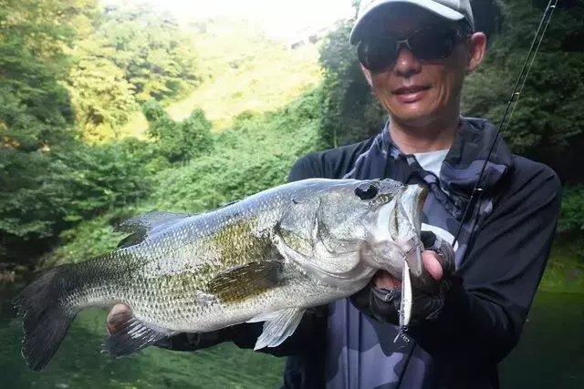 釣りマスター養成講座: 釣果を上げるための思考と技術