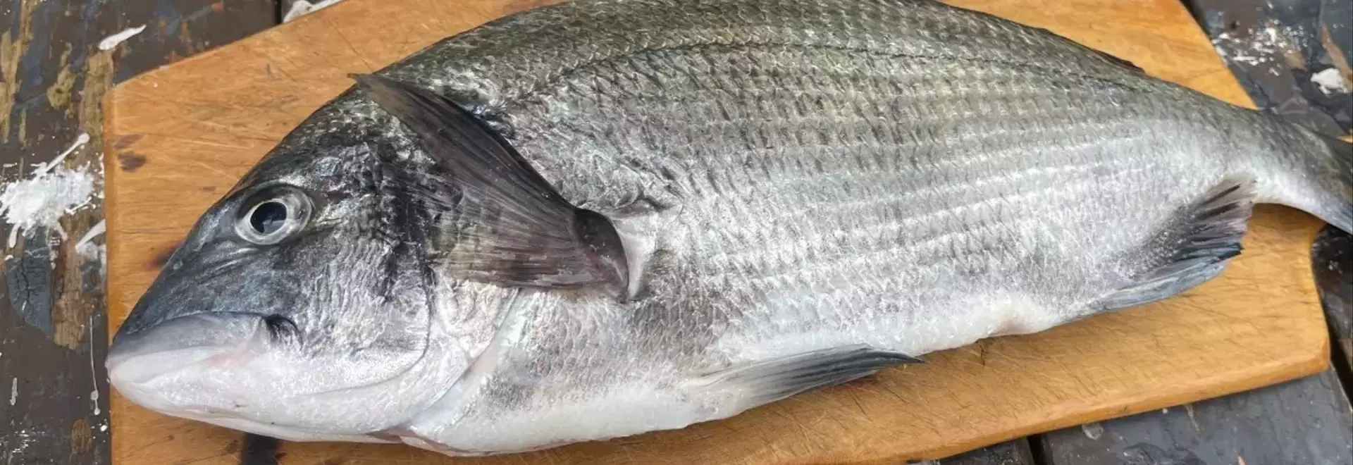 チヌは高温期でも美味！料理法で魅力を再発見