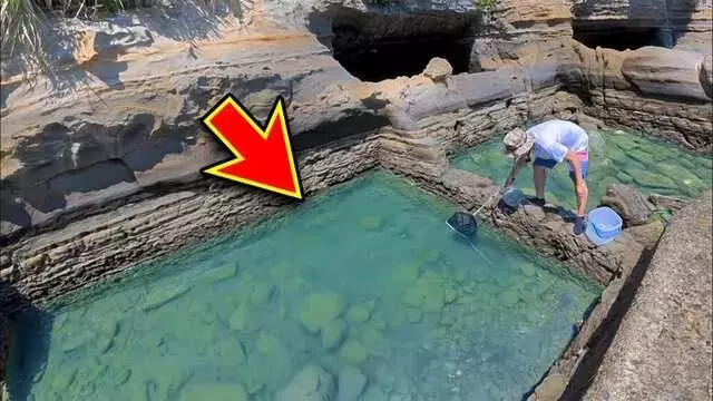 幻の巨大生物を追う！関西から関東への冒険釣り旅