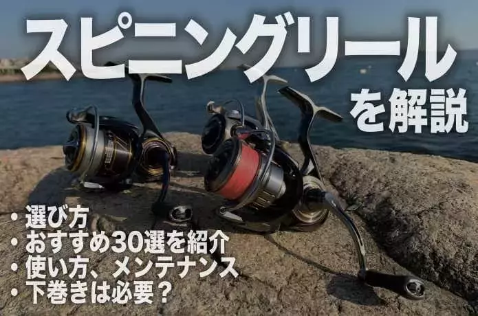 2024年版スピニングリール完全ガイド：選び方、使い方、人気モデルを徹底解説