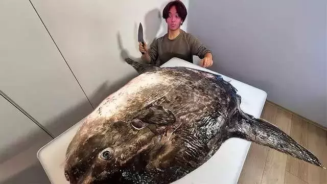 マンボウの意外な生態とユニークな料理法：人気YouTuberが挑む！