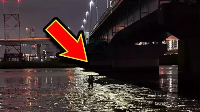 長雨が東京の荒川に及ぼす影響：シーバス釣りの不振とサッパの生態変化