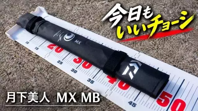 秋のアジング・メバリングに最適なモバイルロッド「月下美人 MX MB」の魅力