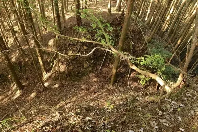 知られざる土佐の秘境、内田城跡への挑戦