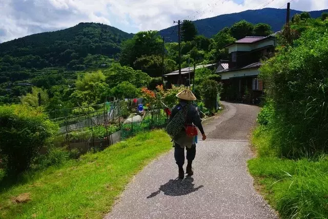 熊野古道「中辺路」踏破ガイド：聖地巡礼への第一歩