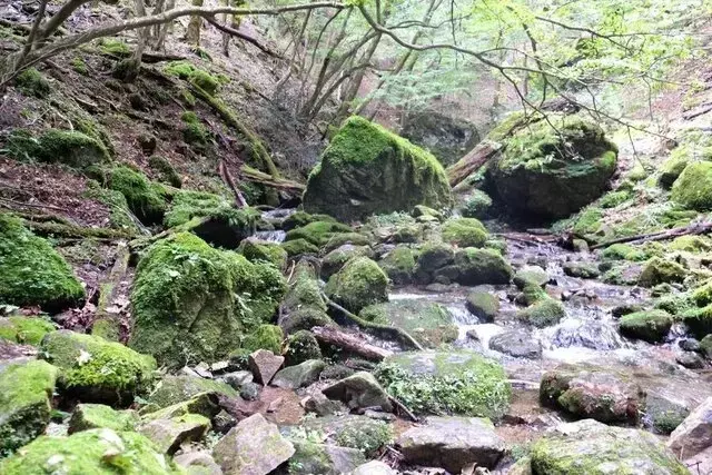 御岳山ハイキング：秋の訪れを感じる自然散策と秘境ロックガーデン