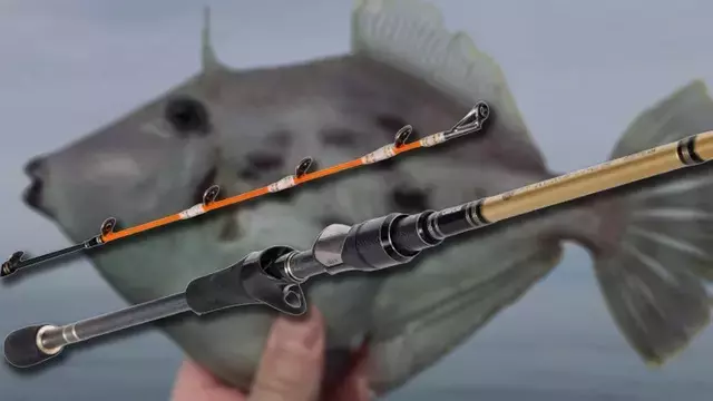 アブガルシアから革新的なカワハギ釣り竿「KUROFUNE MIYABI KAWAHAGI」が登場