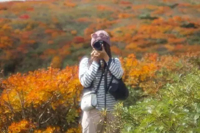 秋の絶景登山：紅葉が織りなす日本の名峰