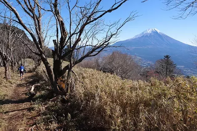 晩秋の毛無山トレッキング：富士山を望む絶景縦走