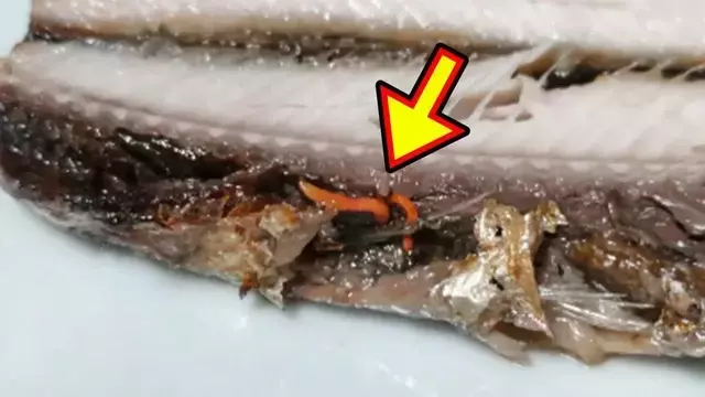 秋の味覚、サンマの「赤い糸」の正体とは？寄生虫と上手く付き合う海の恵み