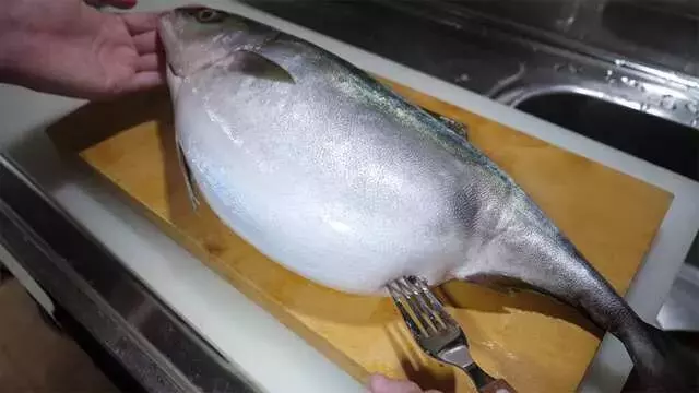 市場を騒がせた謎のハマチ：解剖が明かした驚きの真実と美食への転身