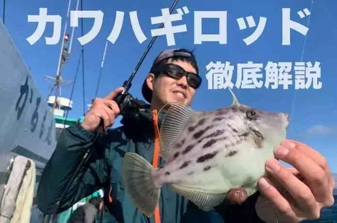 カワハギ釣り専用ロッド徹底解説：最適な一本を見つけるためのガイド