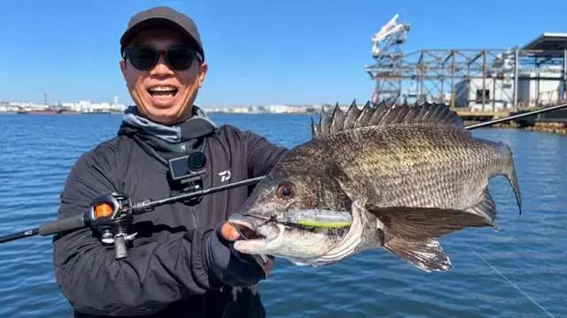 大阪湾チニング最前線：新作ルアー開発と秋の攻略法