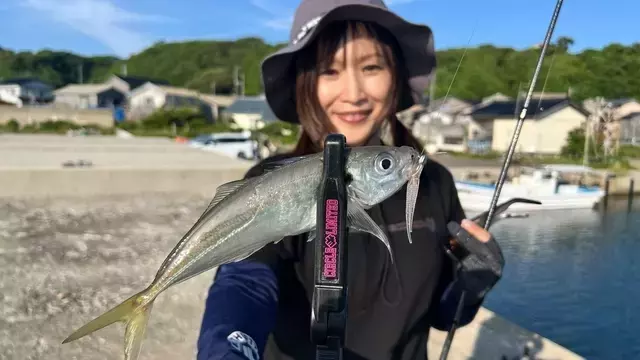 佐渡島でのデイアジング挑戦：秘訣と魅力