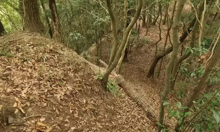 知られざる名城「満田城」後編：堀切と水の手遺構の魅力