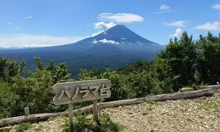 富士山を望む絶景！パノラマ台登山ガイドと体験談