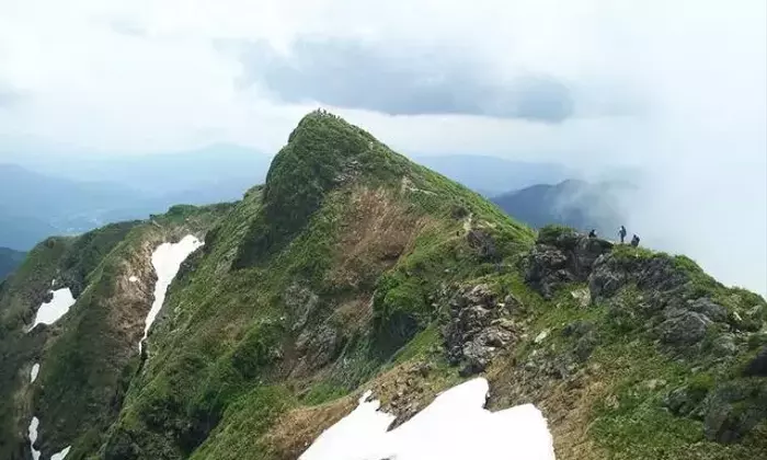 谷川岳: 夏の残雪と高山植物が織りなす絶景稜線ハイキング