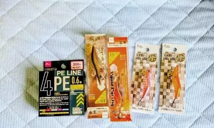 100円ショップの釣り具で楽しむマメイカ釣り：低価格での挑戦と成功