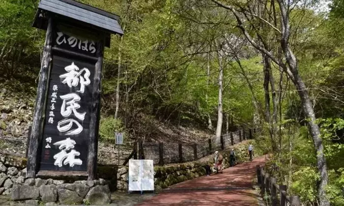 東京都檜原「都民の森」における熊との遭遇事故と登山道閉鎖