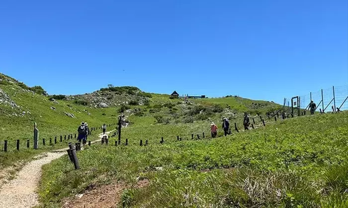 伊吹山登山で見つける絶景と山の恵み：花々とオムライス