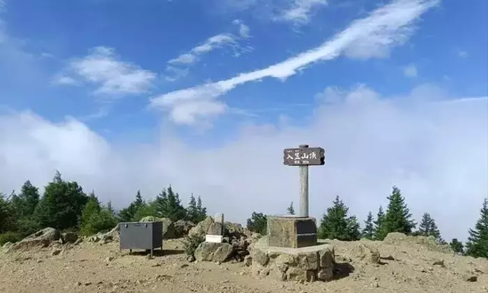 入笠山で夏の高原ハイキング、花々と360度の大展望を満喫