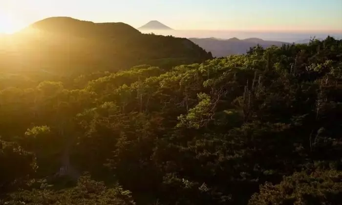 光小屋、真夏の試練：猛暑と水不足に立ち向かう山小屋の奮闘