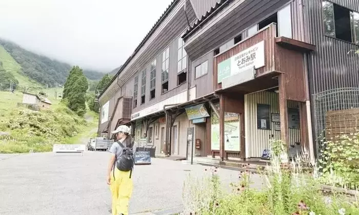 白馬五竜で家族と楽しむ山登り：ゴンドラと高山植物が織りなす冒険