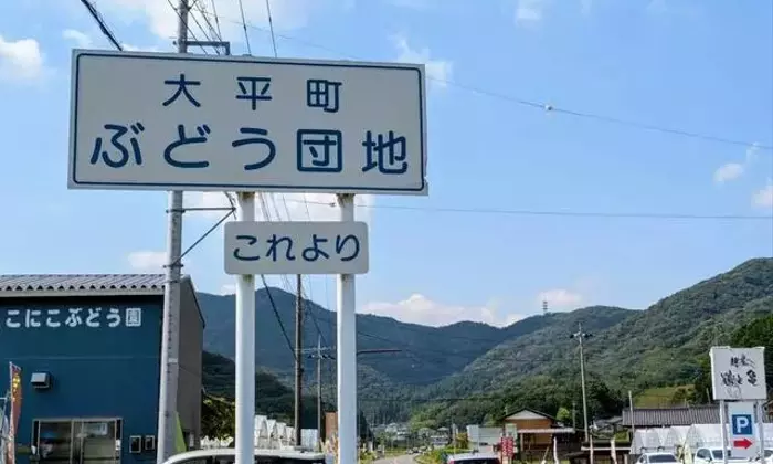 収穫体験も！栃木「大平ぶどう団地」で旬のブドウを満喫