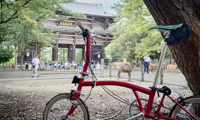 古都奈良、世界遺産の地を自転車で巡る旅